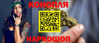 стаф Камышлов