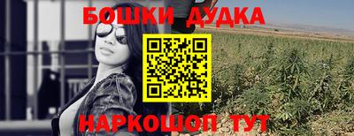 стаф Камышлов
