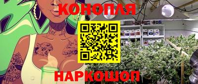 мяу мяу мука Канаш
