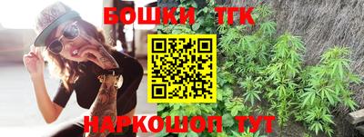 стаф Камышлов
